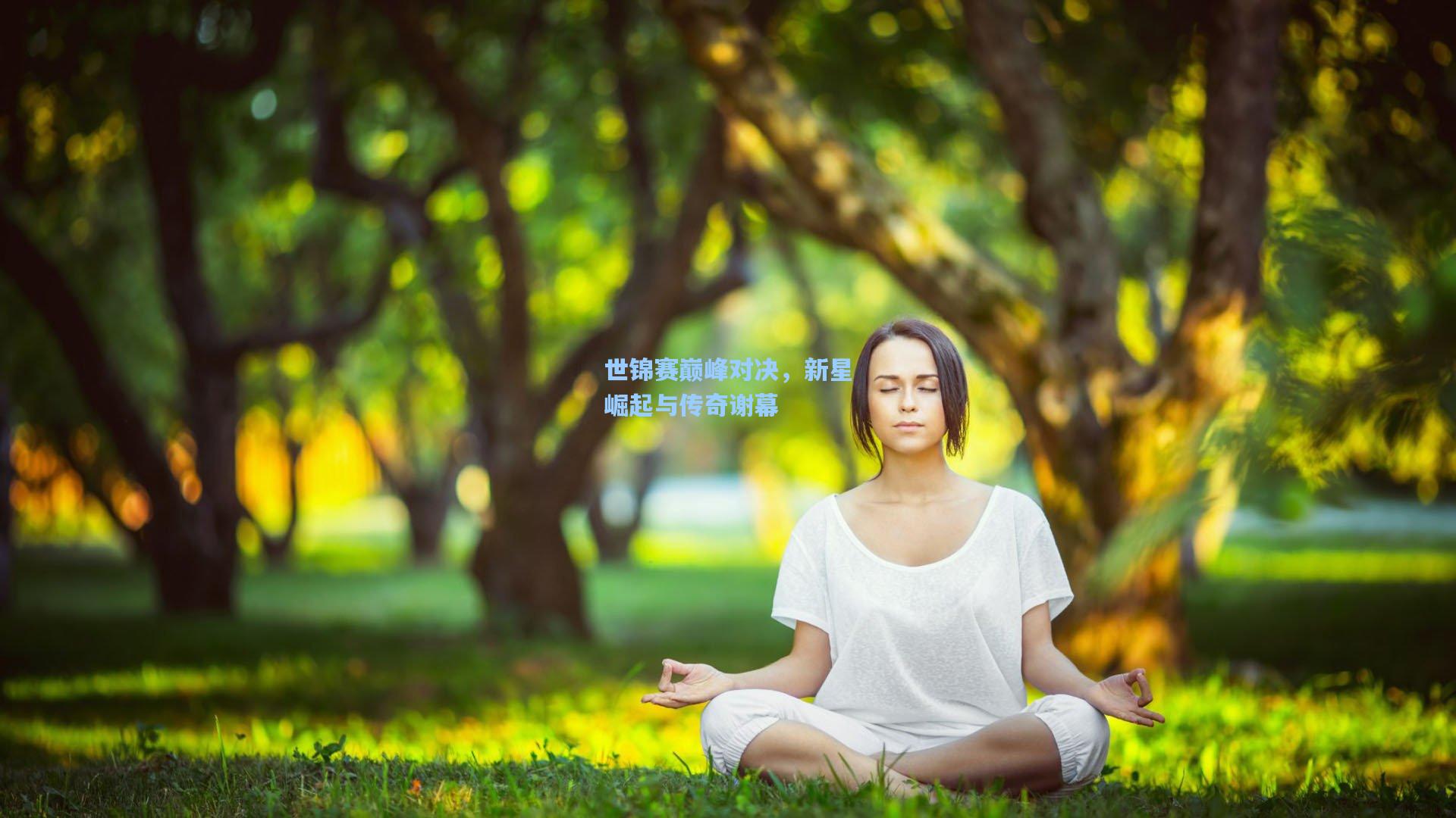 世锦赛巅峰对决，新星崛起与传奇谢幕