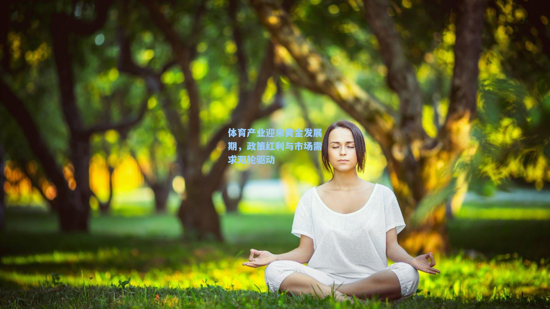 体育产业迎来黄金发展期，政策红利与市场需求双轮驱动
